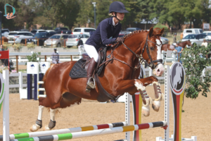 Benificent_van_Balou